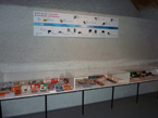 Game&Watch Museum 2010